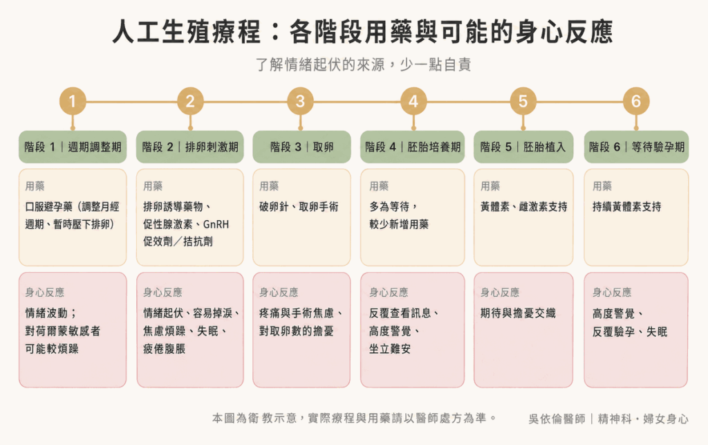 人工生殖療程時序圖,依序呈現週期調整、排卵刺激、取卵、胚胎培養、植入與等待驗孕六個階段,各階段可能使用的藥物與常見的身心反應。