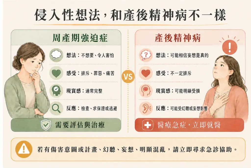 侵入性想法與產後精神病鑑別對照圖:周產期強迫症的想法令人害怕排斥、現實感完整,需要評估與治療;產後精神病可能相信妄想、現實感受損,屬醫療急症須立即就醫